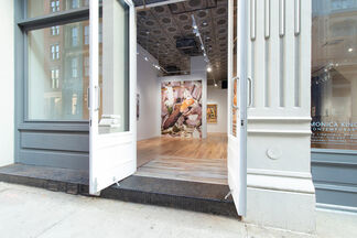Hotbed, installation view