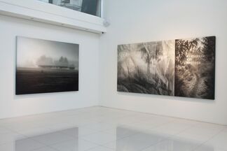 Jaco van Schalkwyk: Eden, installation view