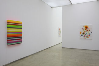 Thierry Feuz, installation view
