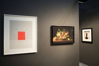 Robert Klein Gallery at AIPAD Photography Show 2015, installation view