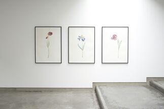Marc Bauer - Static/Unfolding Time, installation view