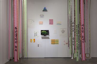 Flags, installation view
