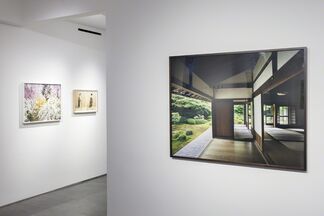 Jacqueline Hassink "View, Kyoto", installation view