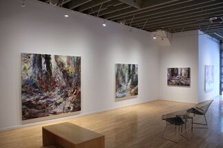 Michael Smith "Fugitive Ground", installation view