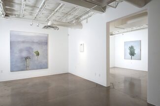 Lucas Reiner: I see men as trees, walking, installation view