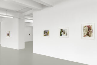 JAN GROOVER, installation view