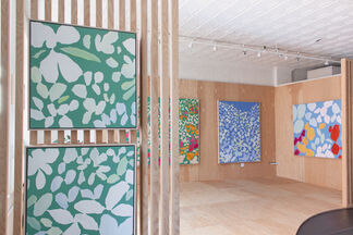Field Guide, installation view