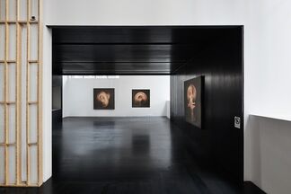 Shinichi Maruyama : Outside Looking In, installation view
