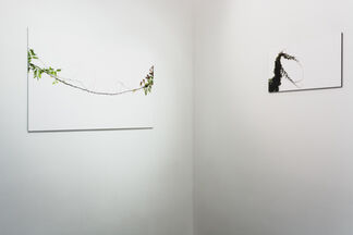 Between Sky and Earth: Bruce Edelstein & Christian Erroi, installation view