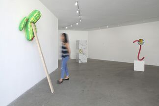 Meanwhile, installation view