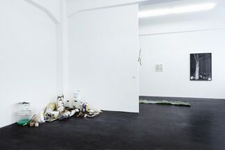 Julius von Bismarck - Unfall am Mittelpunkt Deutschlands, installation view