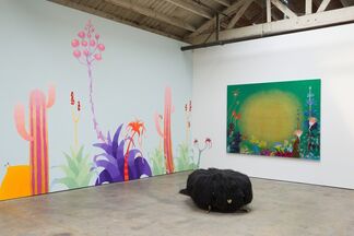 Haas Angeles, installation view