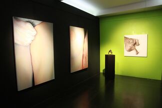 Visual Intelligence:  Recent Works from the New York Academy of Art, installation view