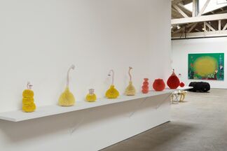 Haas Angeles, installation view