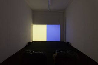 Steve Bishop: Seeing is forgetting what you’re looking at or what it’s called or something., installation view
