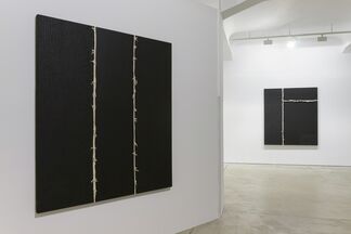 Roberto Diago | Tracing Ashes, installation view