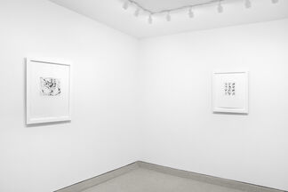 BRICE MARDEN: Prints from 1972 to 1998, installation view