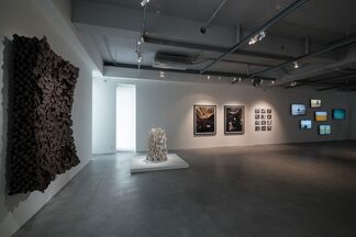 Our Eyes, installation view