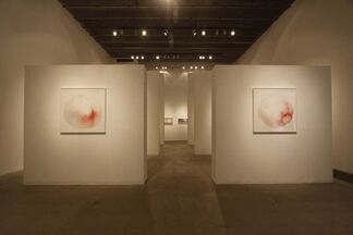Zhang Dun: New Works, installation view
