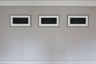 A Whole Variety, installation view