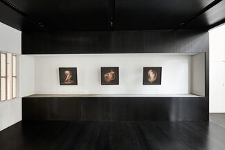 Shinichi Maruyama : Outside Looking In, installation view