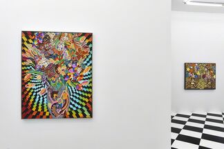 Caroline Larsen "Kaleidoscopic", installation view