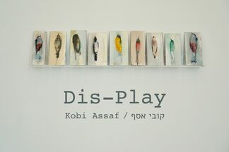 Kobi Assaf | Dis-Play, installation view