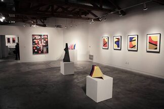 Reconstructed., installation view