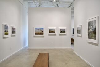 Cheryl Medow: Envisioning Habitat: An Altered Reality, installation view