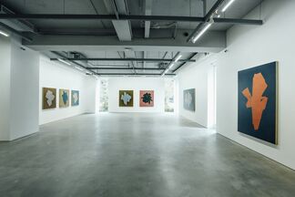 Idealized Fiction, installation view