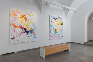 ColourSpace, installation view
