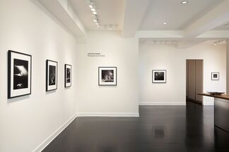 Celestial Nights at The Dryansky Gallery, San Francisco, installation view