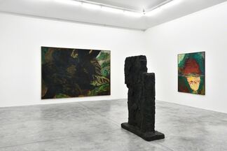 Per Kirkeby, installation view