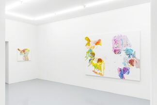 PIA FRIES - fernleib manual, installation view