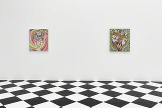 Caroline Larsen "Kaleidoscopic", installation view
