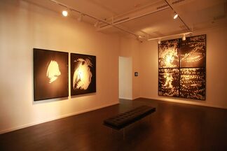 Fernando Prats : Naturalism, installation view