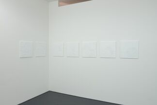JEN DENIKE:Die Grünen Löwen, installation view