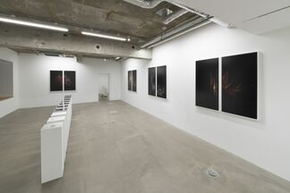 Ryoichi Kurokawa｜Objectum, installation view