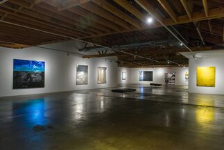 Jimi Gleason:  Silver & Pearl, installation view