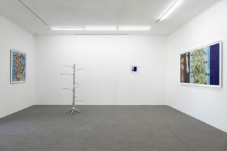 Nepenthes by İskender Yediler, installation view