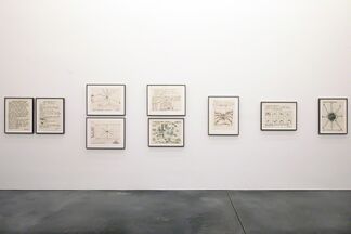 Parrish Perspectives - Joe Zucker: Life and Times of an Orb Weaver, installation view