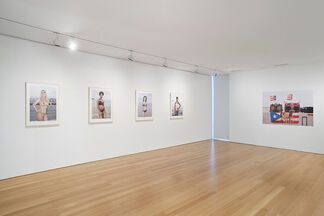 Images of Venus from Wayne Lawrence’s Orchard Beach: The Bronx Riviera, installation view