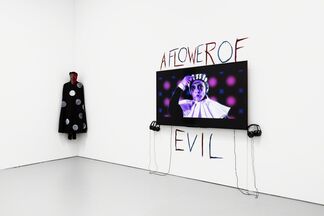 Marcel Dzama and Raymond Pettibon: Forgetting the Hand, installation view