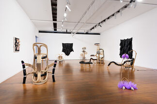 The Bite Mark of a Butterfly, installation view