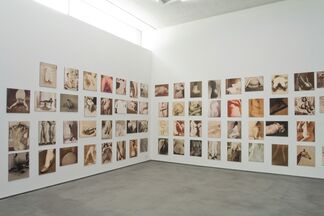 Nude Animal Cigar, installation view