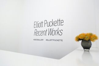 Elliott Puckette: Recent Works, installation view