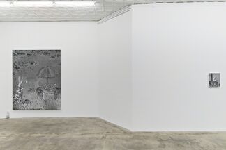 Rudolf Stingel: Part VII, installation view