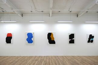 Semi-Fictions: Recent Painting by Julian Montague, installation view