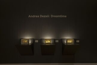 Andrea Dezsö: Dreamtime, installation view