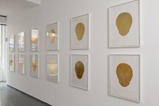Damien Hirst - Death or Glory, installation view